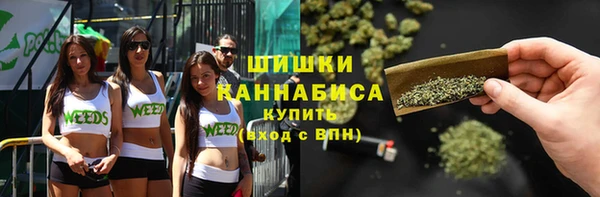 прущие крисы Надым