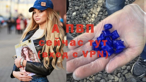 прущие крисы Надым