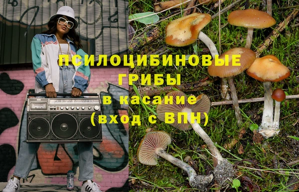 прущие крисы Надым