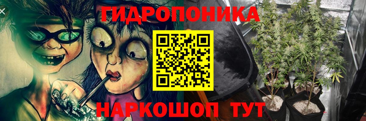 Бошки Шишки семена  Конопля семена  Канабис конопля  Люберцы  Вход с VPN 